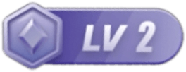 LV2 等级-LV2-跨境电商课程下载-bk41